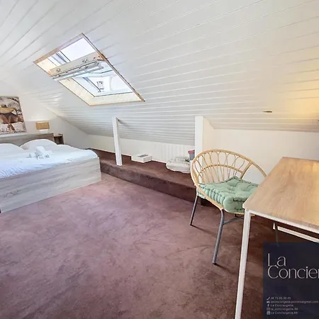 Chez Lou-poitiers Hyper Centre-proche Parking-laconciergerie Appartement Poitiers