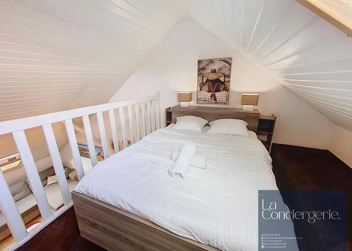 Apartman Chez Lou-poitiers Hyper Centre-proche Parking-laconciergerie *